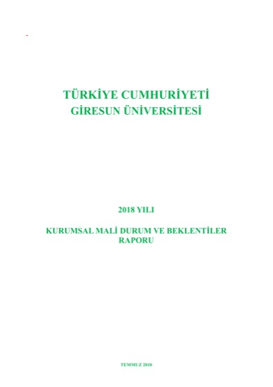 2018 Yılı Kurumsal Mali Durum ve Beklentiler Raporu kapağı